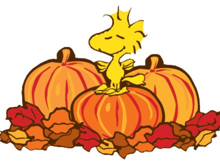 440x330 Woodstock Thanksgiving Pumpkins.jpg Thanksgiving