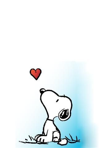 320x480 Valentine Desktop Images Animals