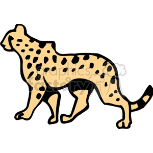 Cheetah Cub Clipart