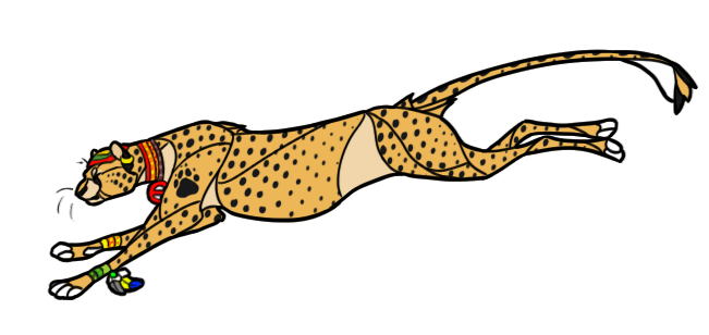 651x308 Ccf Cheetahs