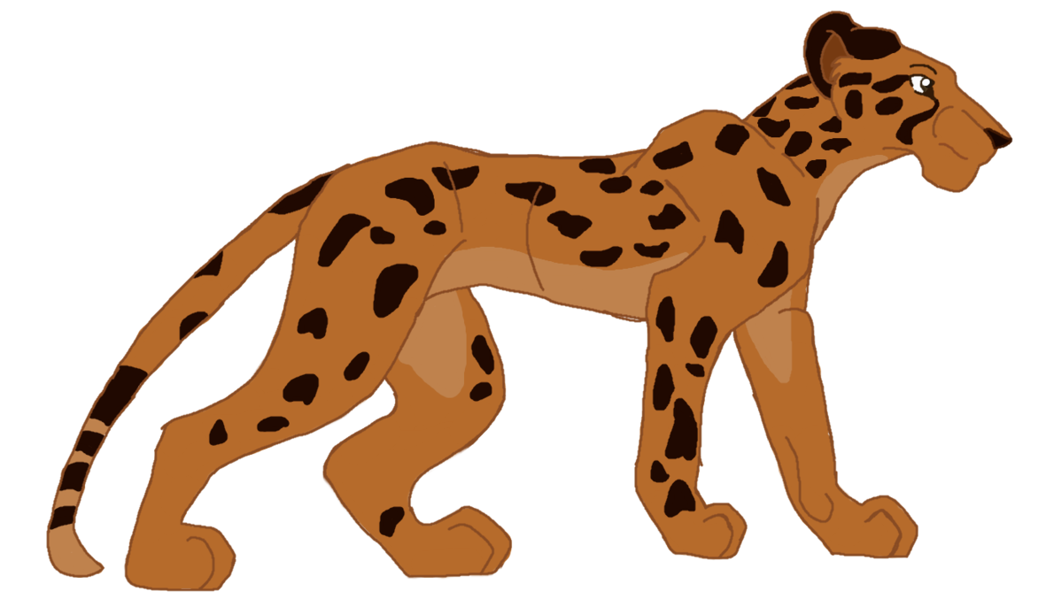1181x677 Cheetah By Andrewshilohjeffery