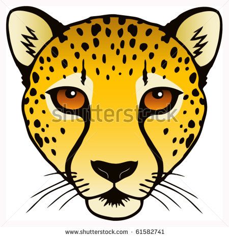 450x467 23 Best Cheetah Images On Cheetahs, Big Cats