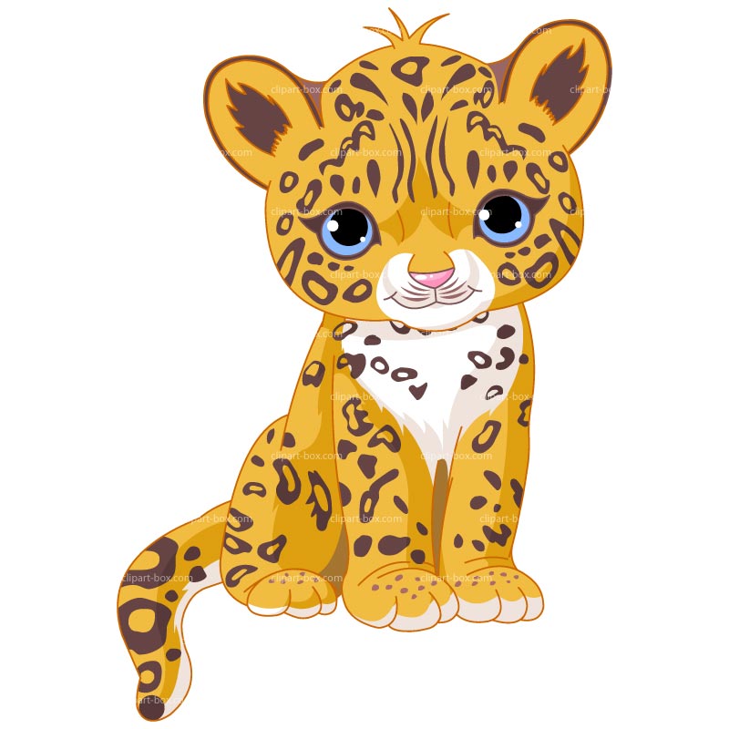 800x800 Top 68 Cheetah Clipart