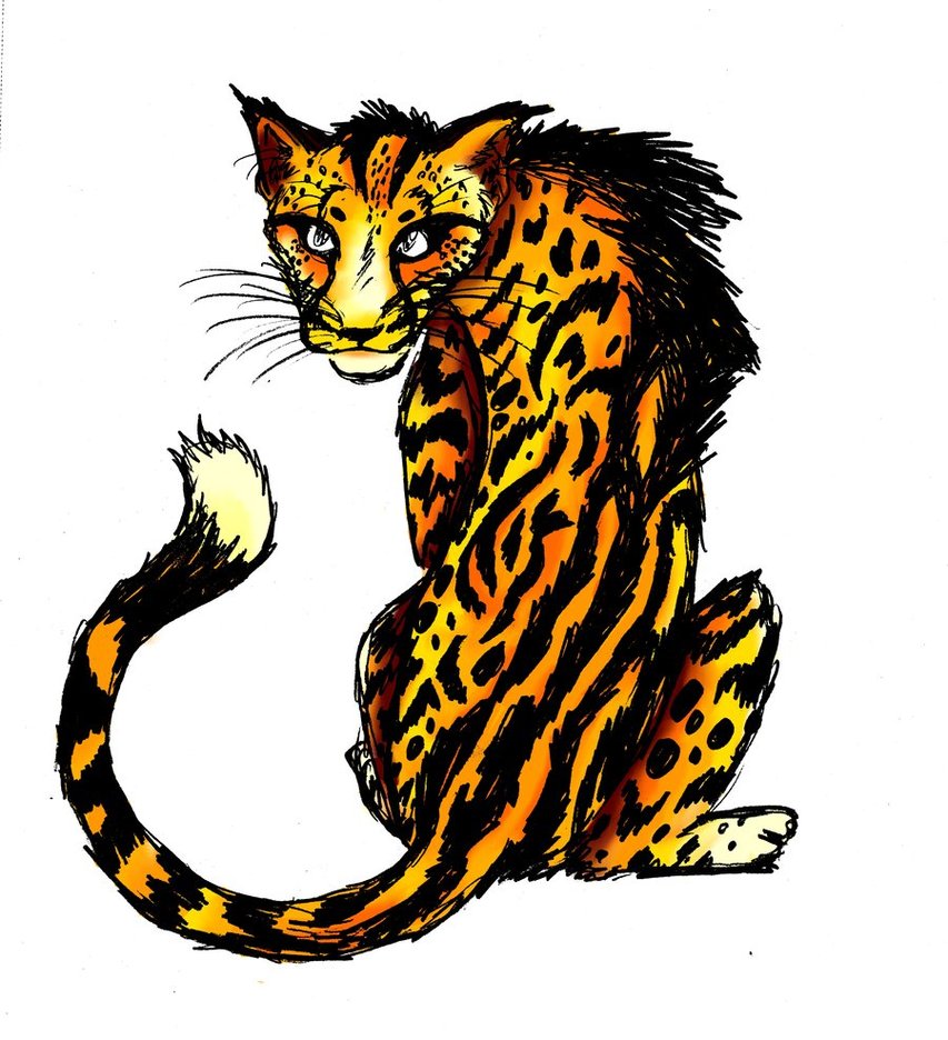 853x936 King Cheetah By Secoramoondragon