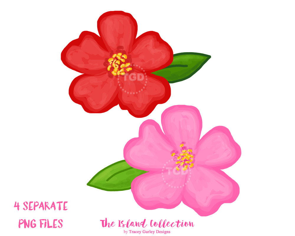 1000x800 Cherry Blossom Clipart, Watercolor Flower Clip Art, Floral Clip