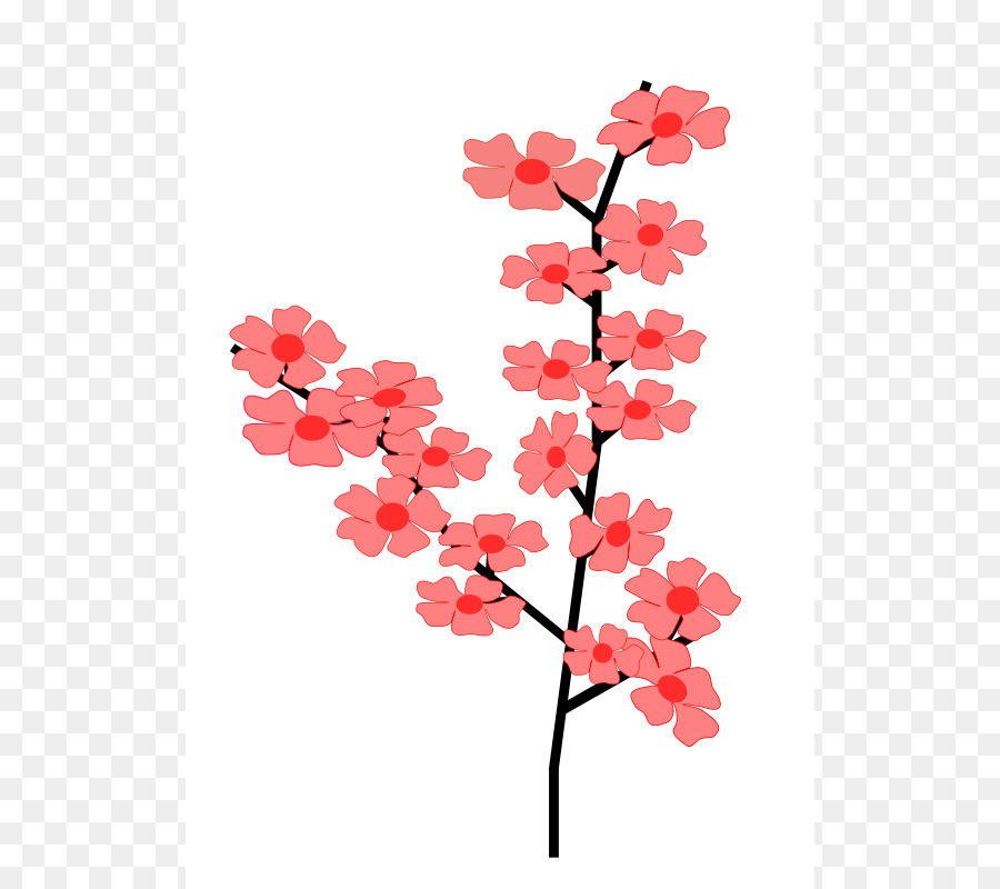 900x800 Cherry Blossom Flower Clip Art