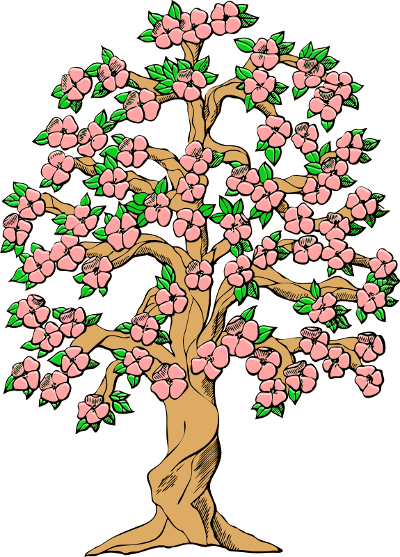 575x800 Tree Cherry Blossom Spring Clip Art