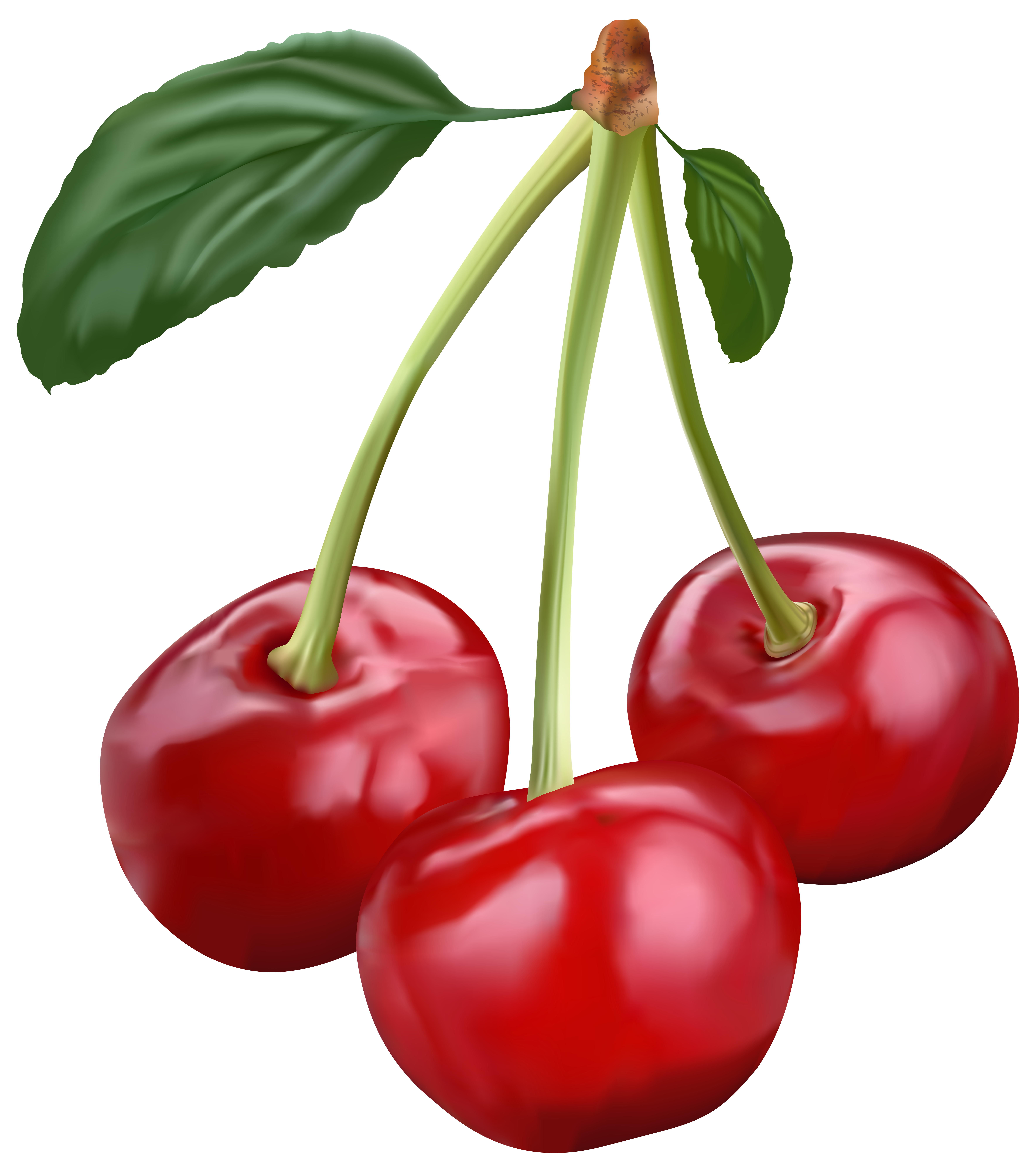 7073x8000 Cherry Png Transparent Clip Art Imageu200b Gallery Yopriceville
