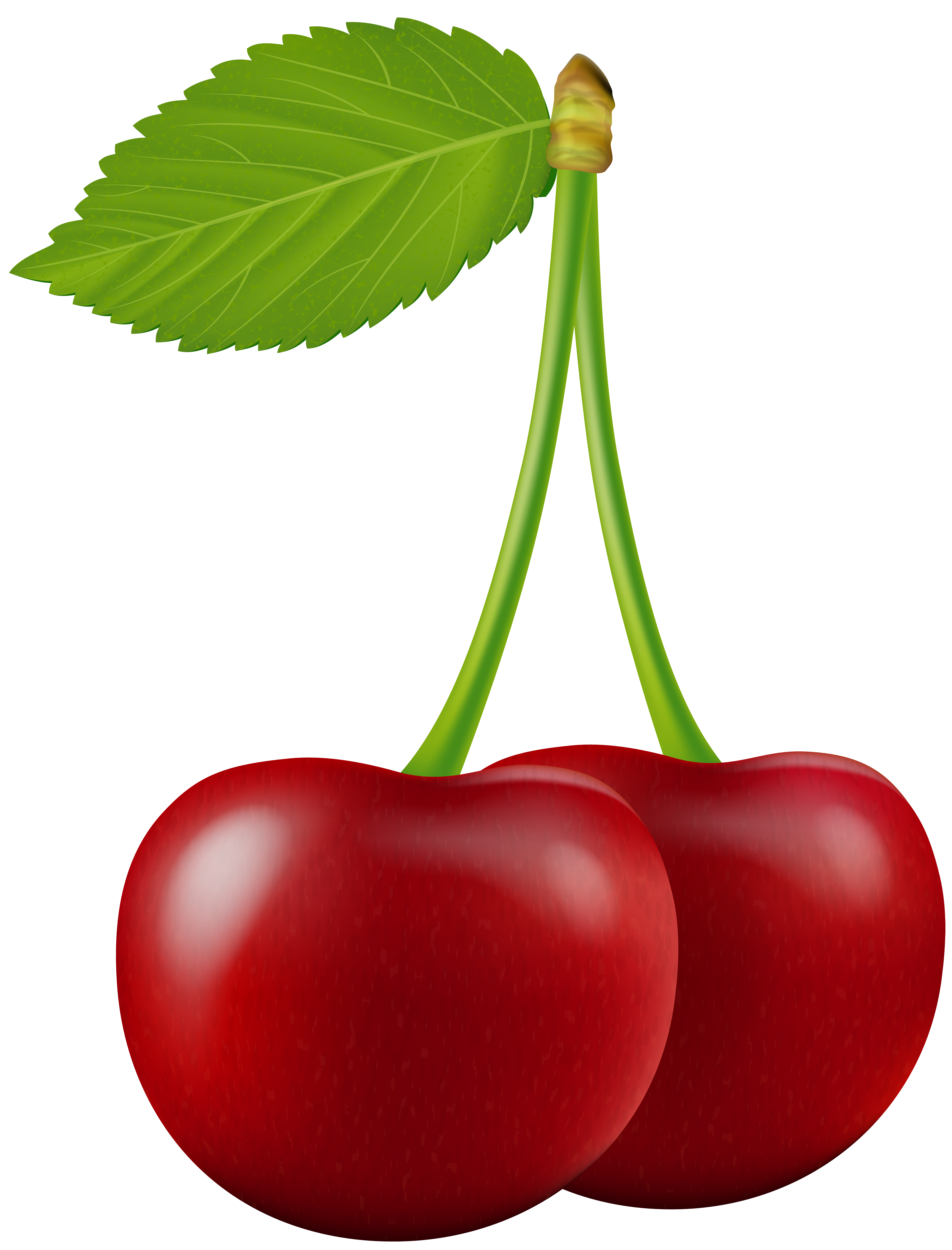 6092x8000 Cherry Transparent Png Clip Artu200b Gallery Yopriceville