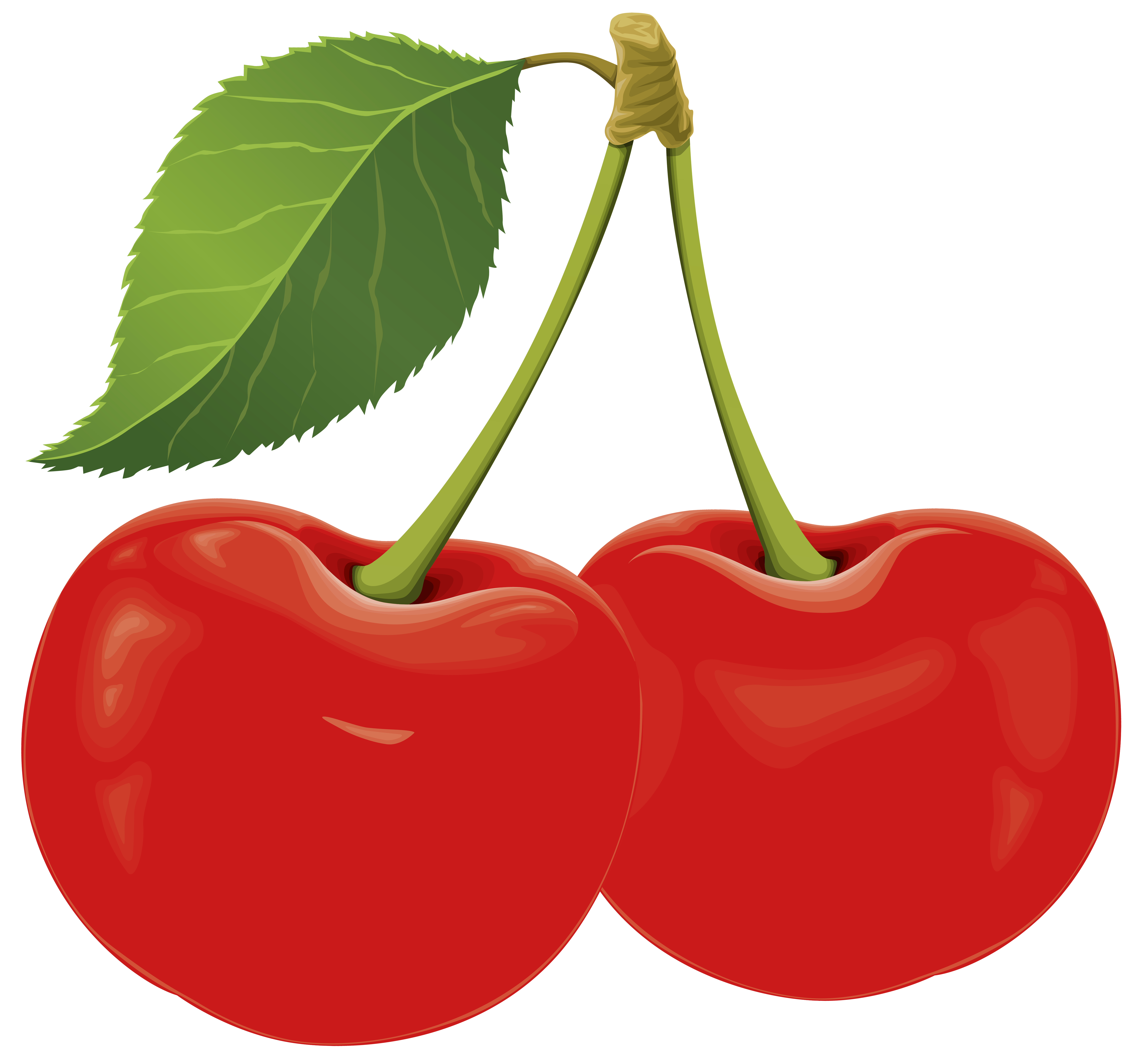 8000x7487 Sour Cherry Png Clip Art