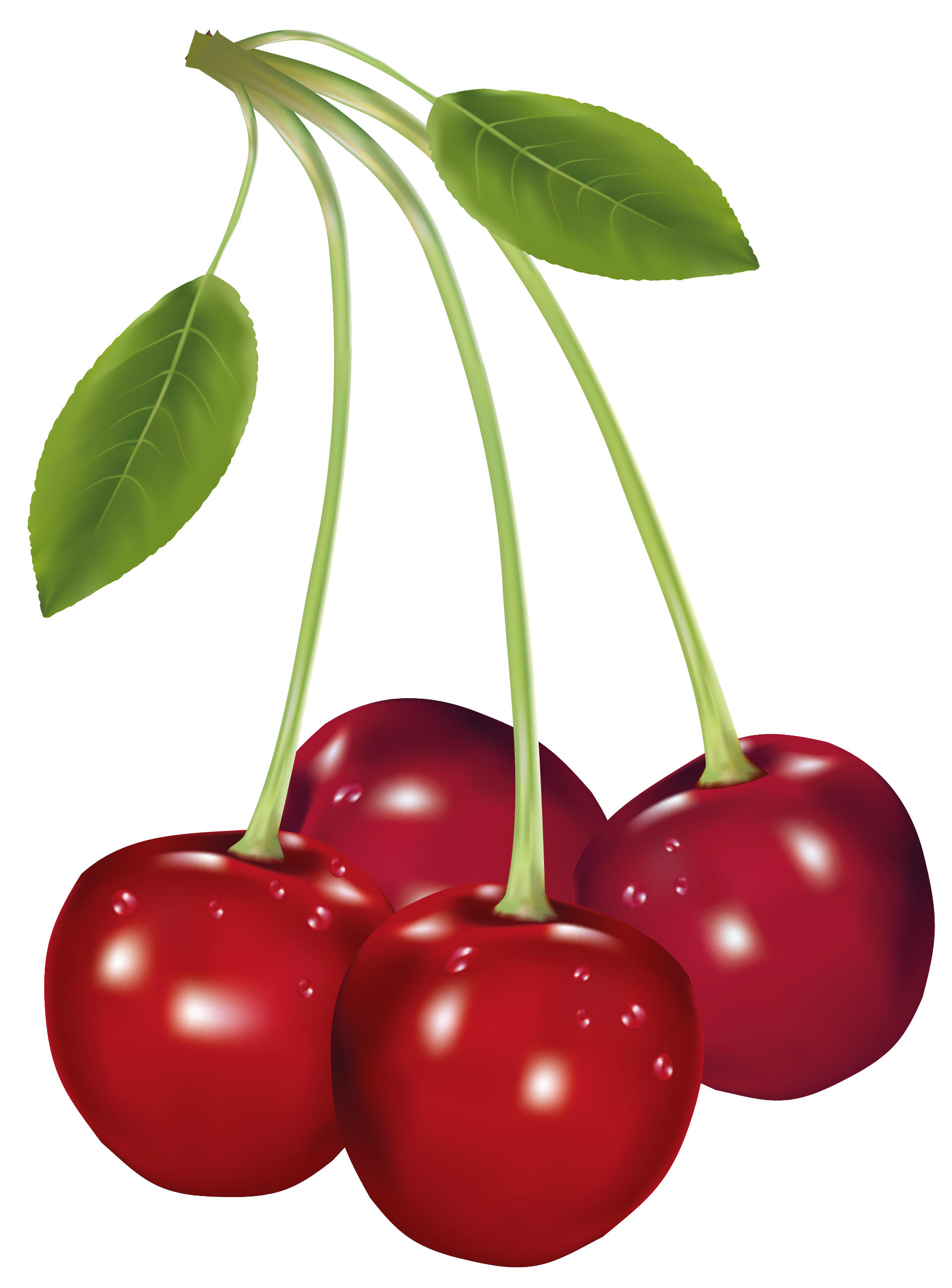 1916x2592 Cherries Png Clipart Pictureu200b Gallery Yopriceville