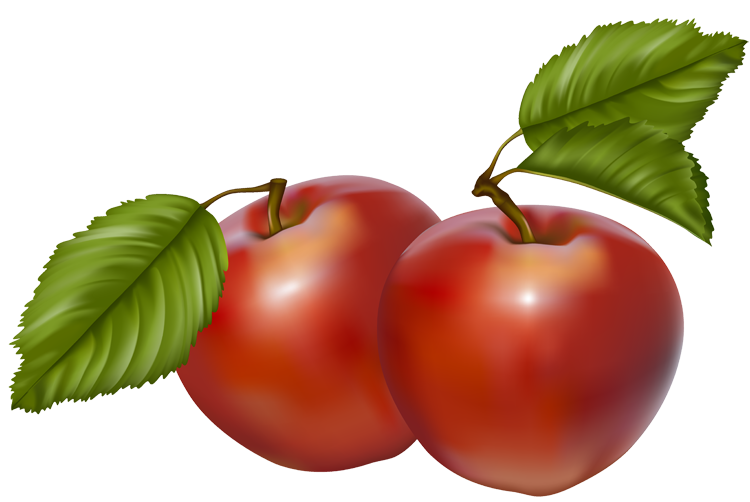 750x502 Cherry Tree Clipart Red Apple