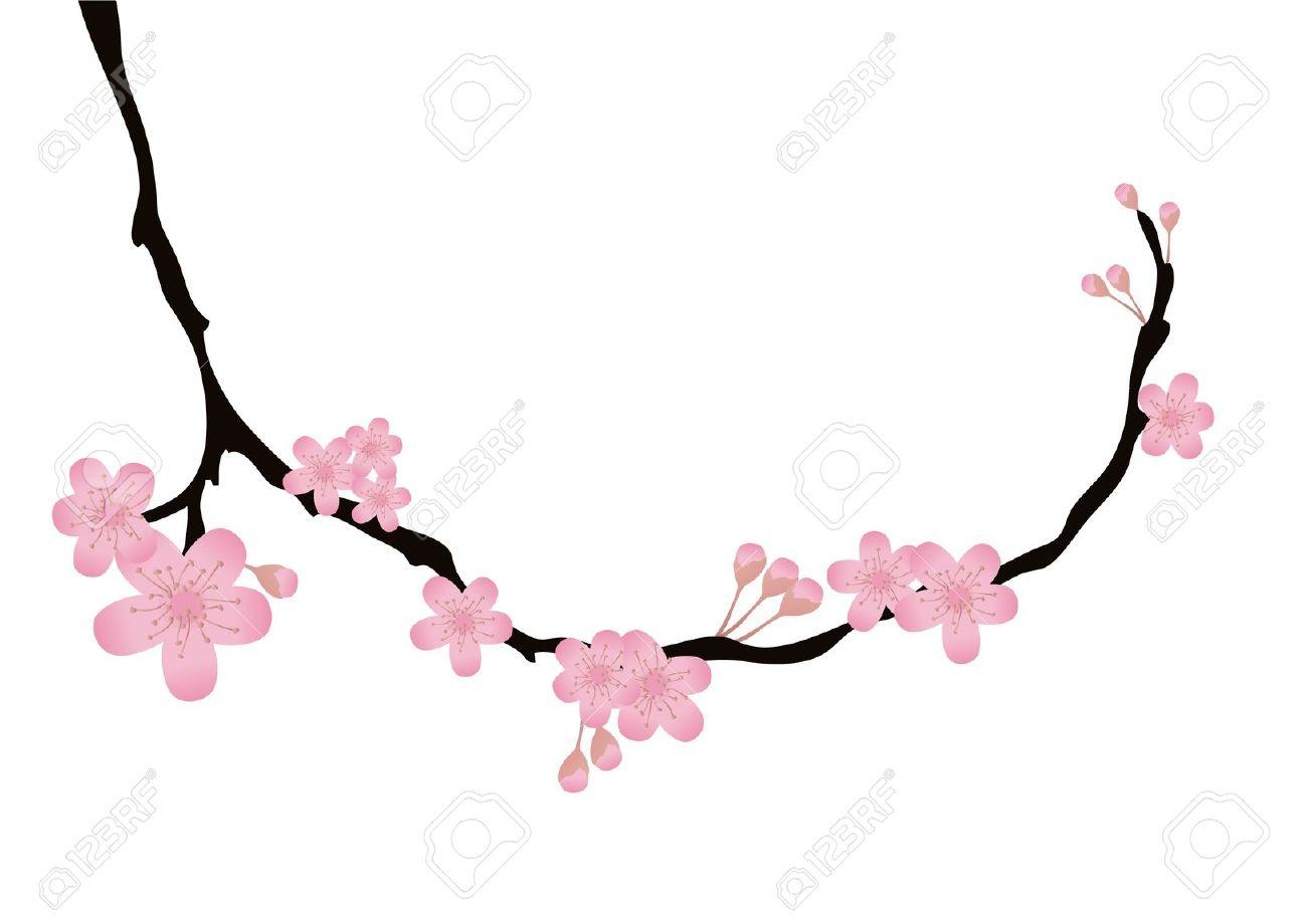 1300x920 Clip Art Cherry Blossoms Clip Art