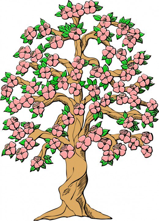 520x723 Flower Tree Cliparts