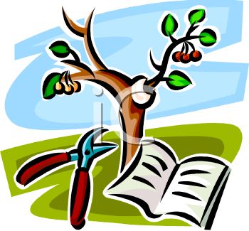350x325 Royalty Free Clip Art Image Pruning A Cherry Tree With A Book