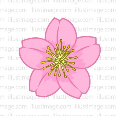 400x400 Blossoms Free Clipart Amp Cripart