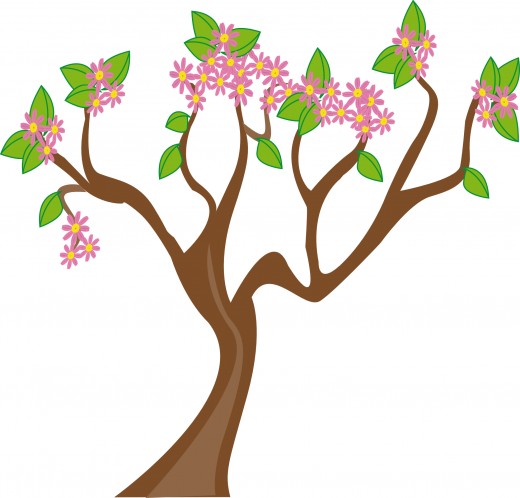 520x498 Blossom Clipart Tall Flower