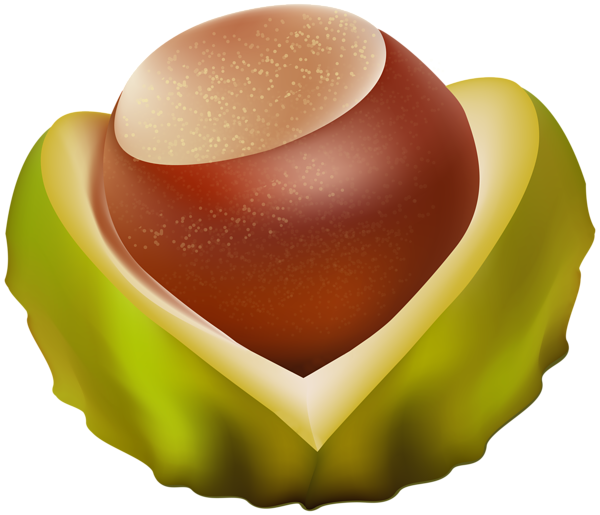 600x515 Chestnut Png Transparent Imageu200b Gallery Yopriceville