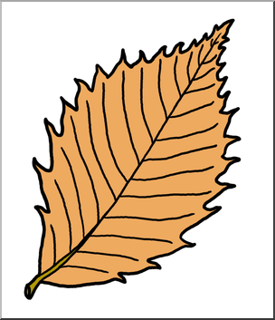 304x353 Clip Art Leaf Chestnut Autumn Color I Abcteach