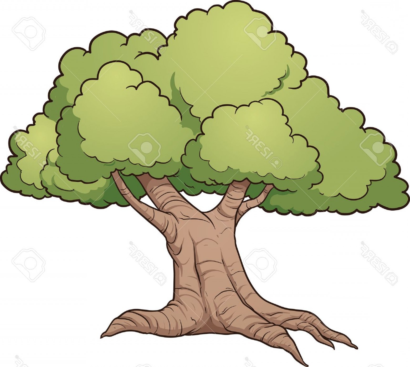 1560x1396 Photostock Vector Cartoon Oak Tree Vector Clip Art Illustration