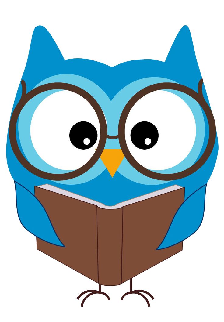 736x1055 Images Owls Clipart