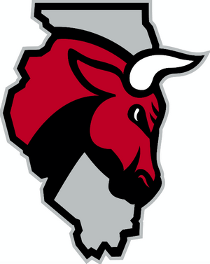 300x377 The Windy City Bulls' Secondary Logo