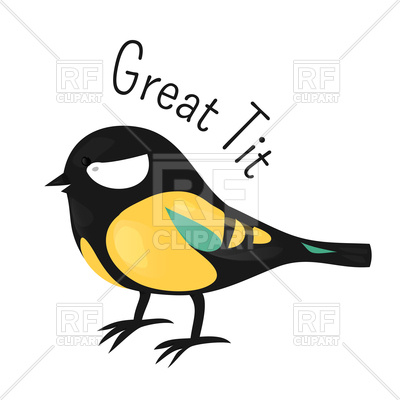 400x400 Great Tit Isolated On White Royalty Free Vector Clip Art Image