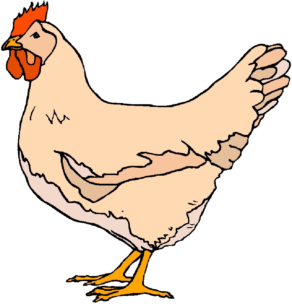 978x1021 Fresh Chicken Clipart Design