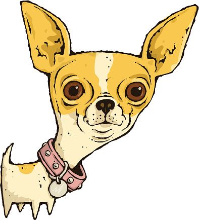 394x434 Ideal Chihuahua Clip Art