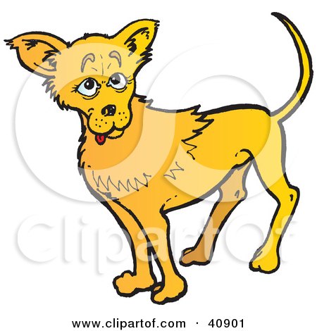450x470 Royalty Free (Rf) Chihuahua Dog Clipart, Illustrations, Vector