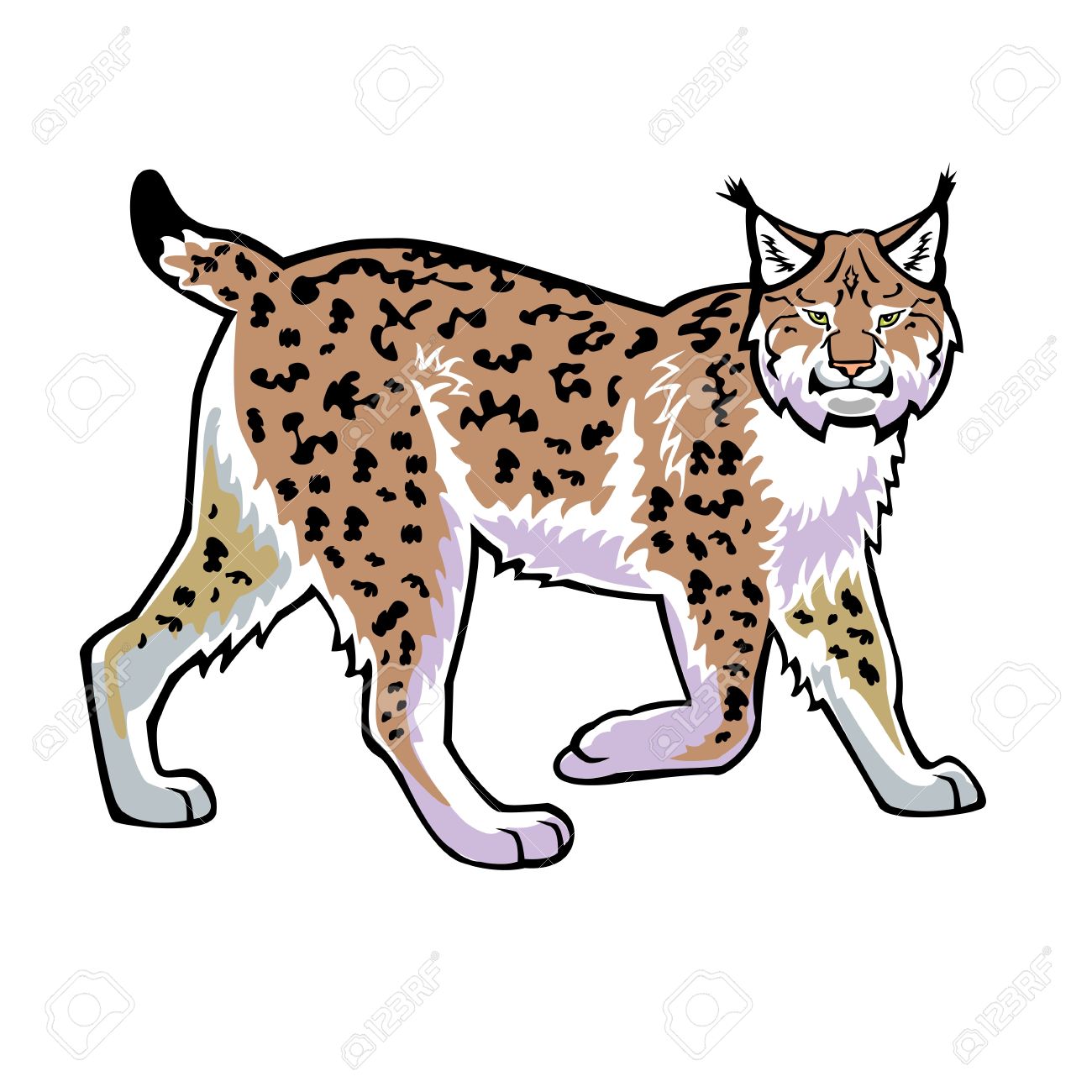 1300x1300 Lynx Clipart Free