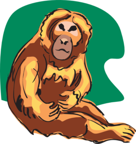 282x297 Orange Chimp Clip Art