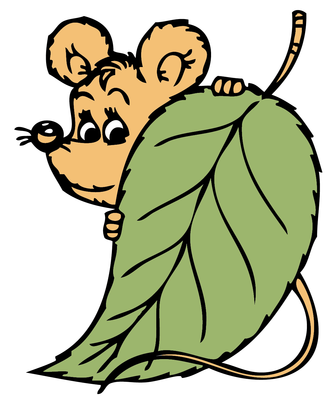 Chinchilla Clipart