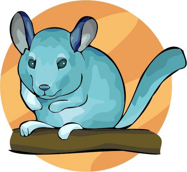 600x553 Chinchilla Clipart