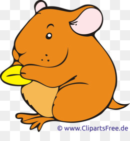 260x280 Hamster Wheel Clip Art