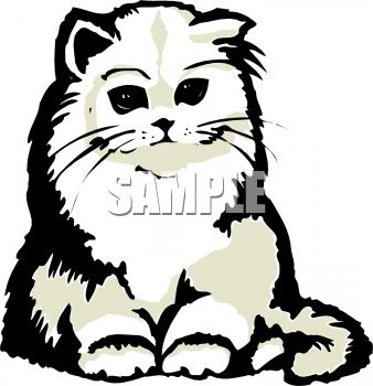 338x350 Persian Cat Clipart Furry