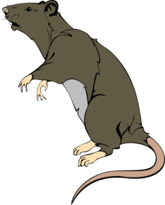 240x297 Grey Greedy Rat Clip Art