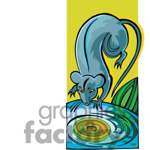 300x300 Chinchilla 20clipart Clipart Panda