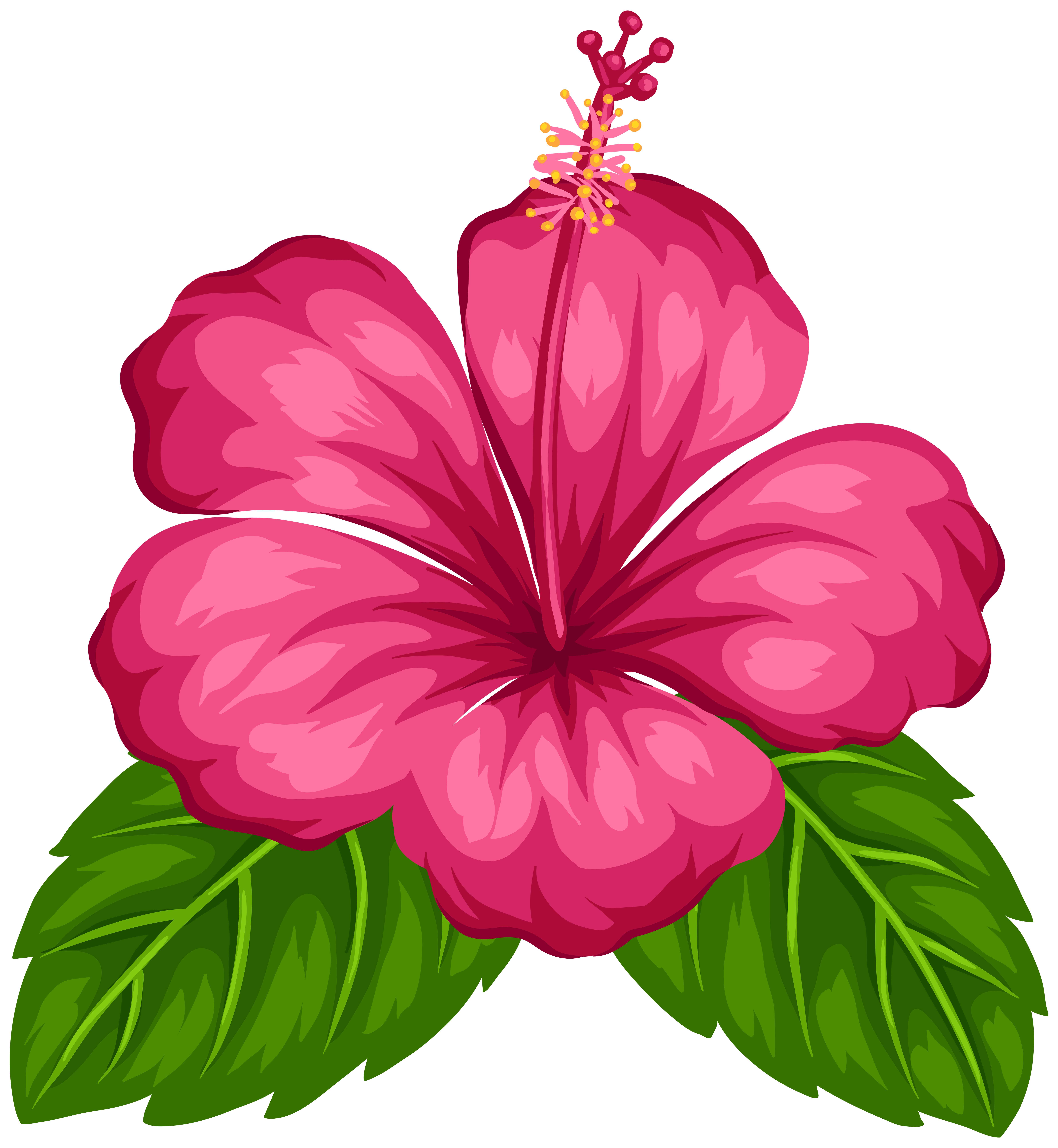 7375x8000 Exotic Flower Png Clip Art