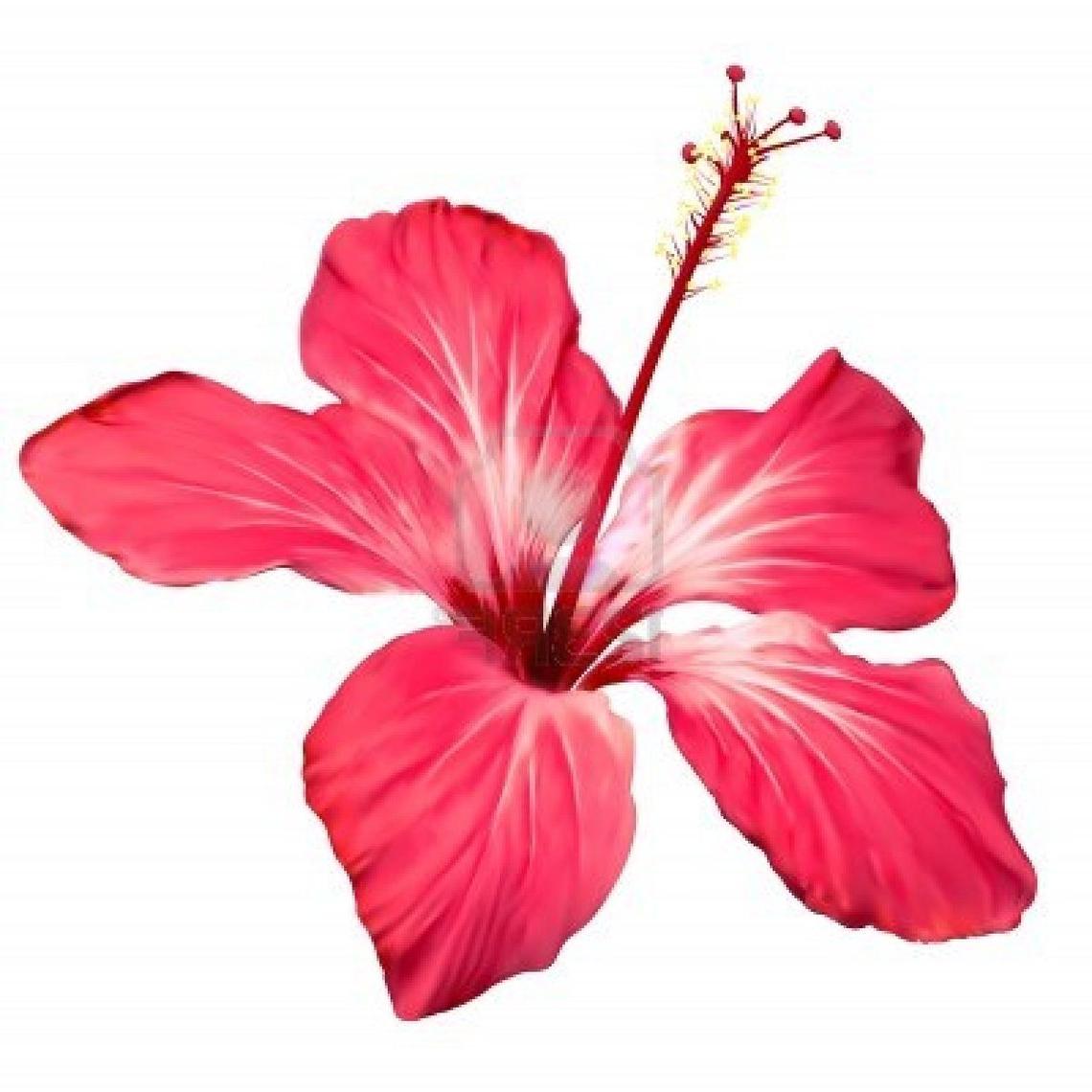 Chinese Flower Clipart at GetDrawings | Free download