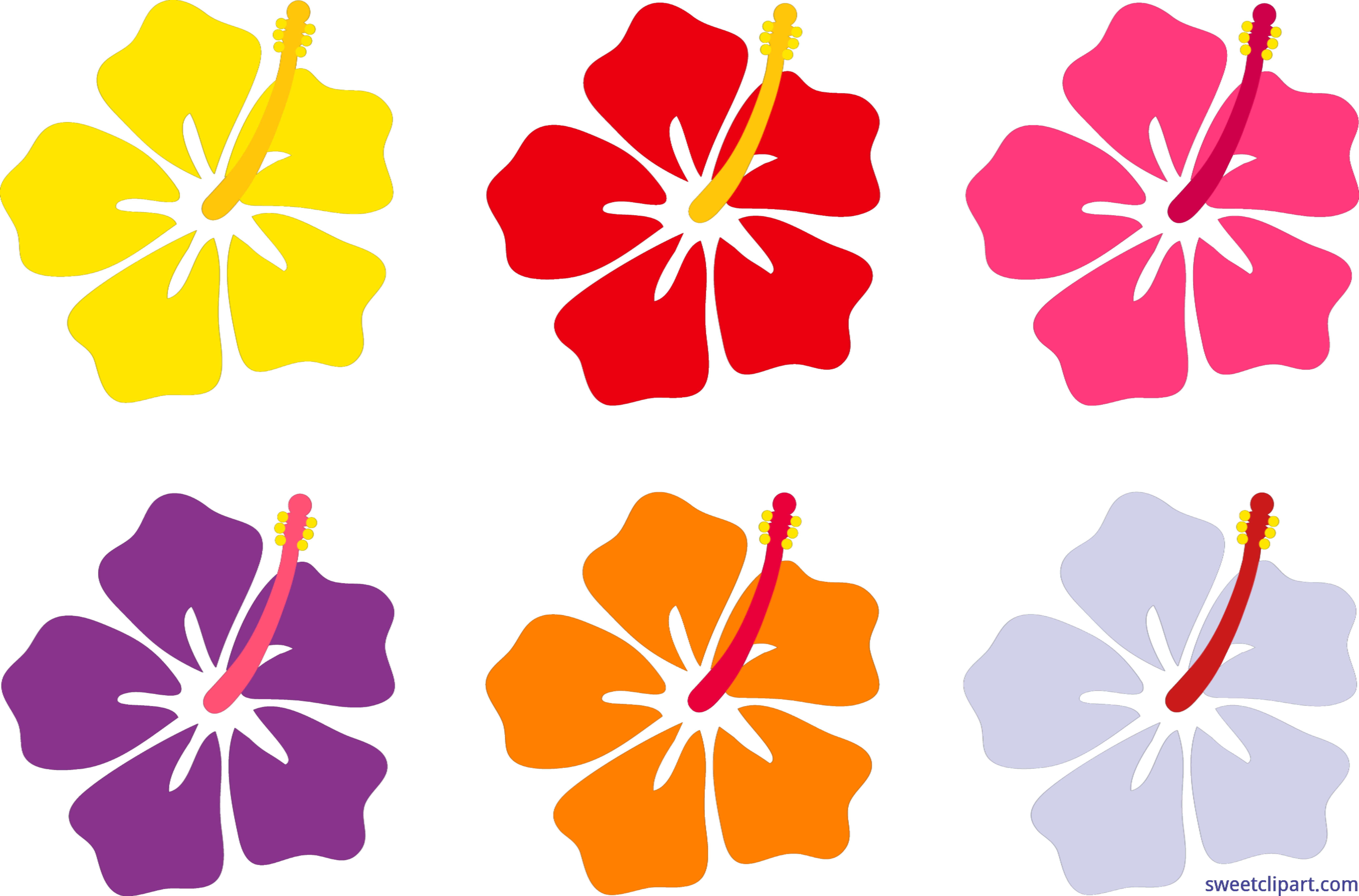 8230x5425 Hibiscus Flowers Set Clip Art