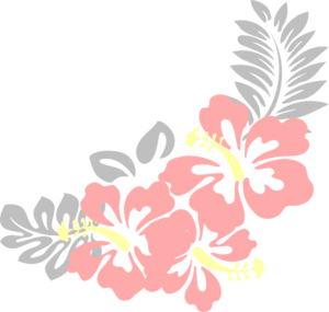 300x285 Hibiscus Nat Clip Art
