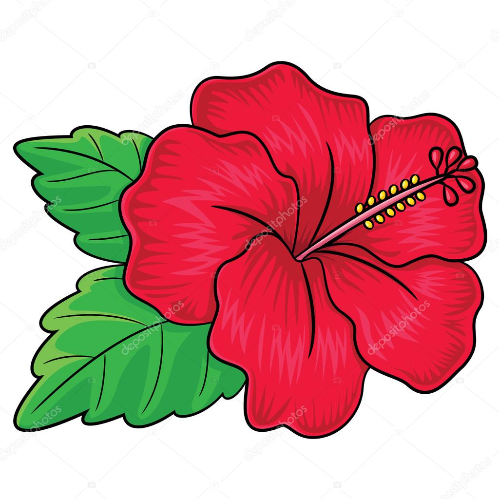 1024x1024 Quickly Hawaiian Flowers Cartoon Flower Black And White Drawing