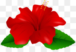 260x180 China Rose Png And Psd Free Download