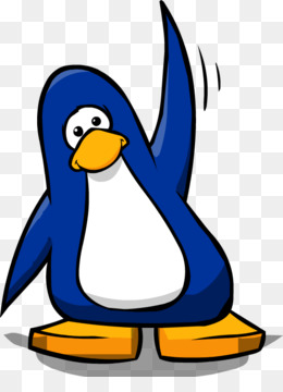 260x360 Gentoo Penguin Bird Chinstrap Penguin Clip Art