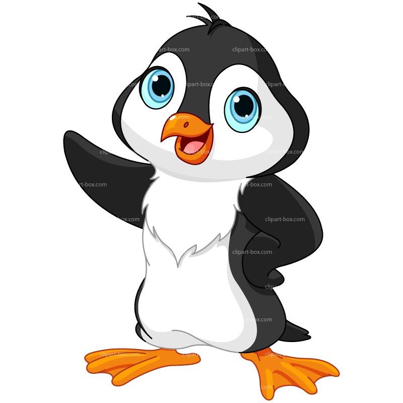 800x800 Girl Penguin No Background Clipart