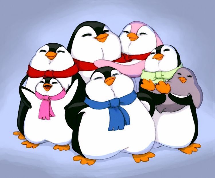 750x620 Penguin Family Penguins Penguins