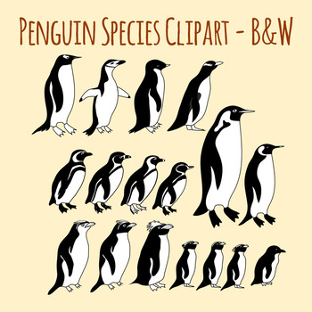 350x350 Penguins Species Black And White Line Art Clip Art Set