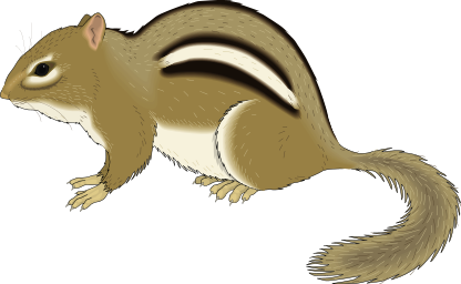 416x256 Chipmunk Clip Art Chipmunks And Clip Art
