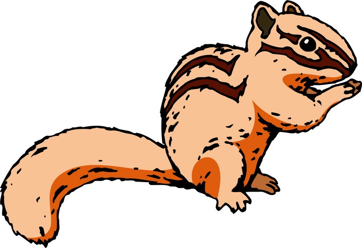 720x493 Chipmunk Clip Art Free Chipmunk Clipart Clipart For Teachers